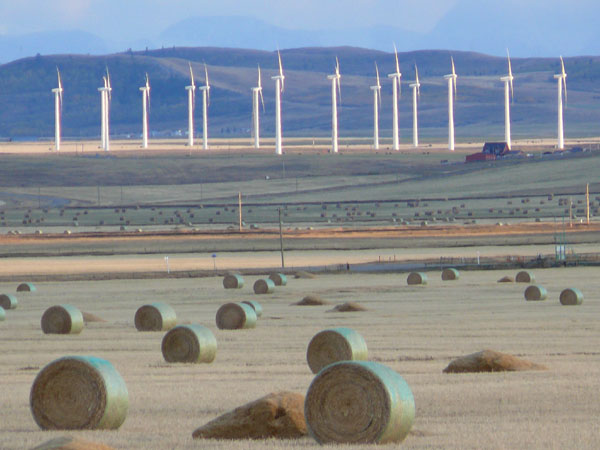 Wind turbines in South West Alberta