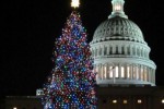 US Capital Christmas Tree - Copy